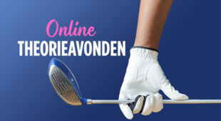 ONLINE THEORIEAVOND